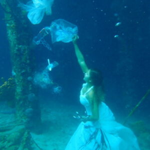 Explore the Underwater Beauty of Curaçao: Guided Dive at House Reef & Directors Bay