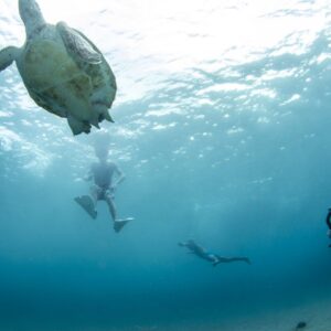 Ontdek de schoonheid van Curaçao met de Snorkel West Trip van een hele dag