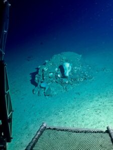 Duik in het diepe: Doe mee aan een onderzoeksduik op Curaçao