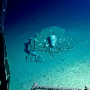 Duik in het diepe: Doe mee aan een onderzoeksduik op Curaçao