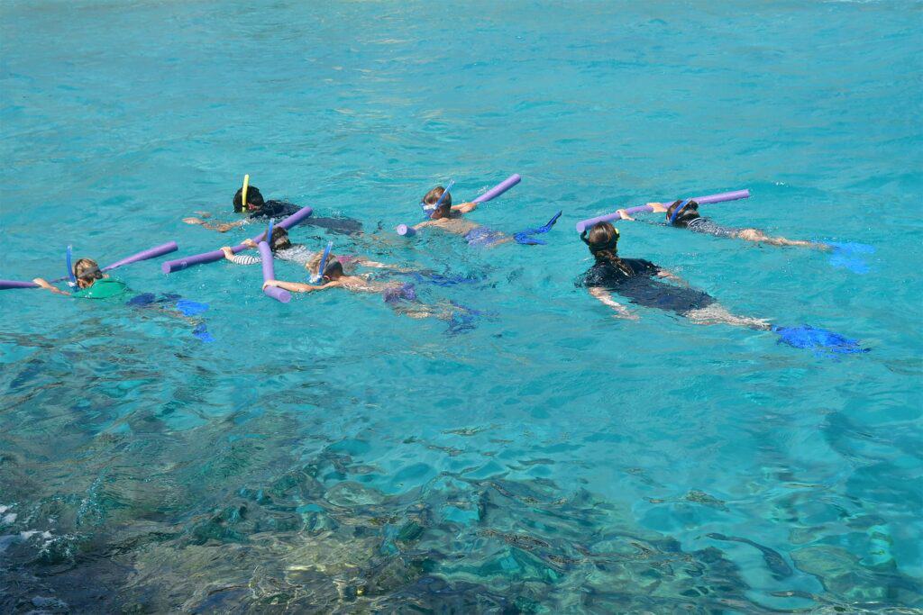 Discover Exciting Youth Activities at Curaçao Sea Aquarium