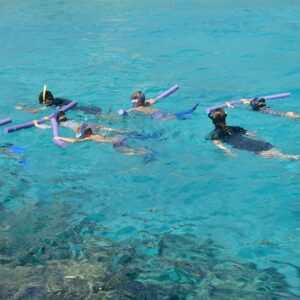 Ontdek spannende jeugdactiviteiten in het Curaçao Sea Aquarium