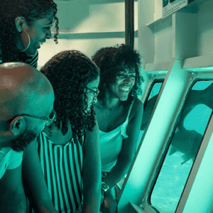 Beleef de Lens van de Oceaan in het Curaçao Sea Aquarium