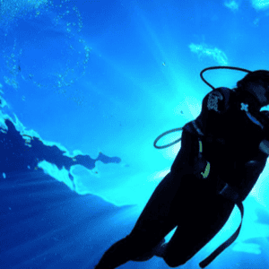 Become a PADI Divemaster in Curacao: Your Path to Professional Diving
