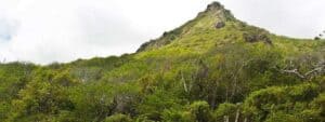 Christoffelpark Curacao