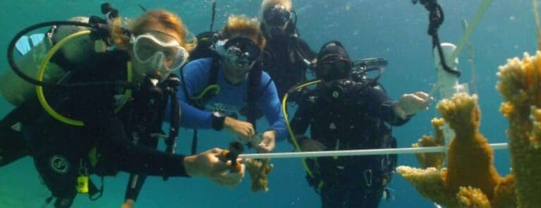 Coral Restoration Foundation Curacao