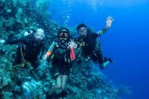 Ervaar de beste kantduikpakketten op Curaçao met Scubaçao