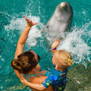 Ontdek de magie van snorkelen met dolfijnen op Curaçao