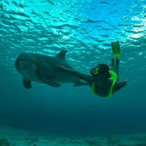 Dolfijn Assistent Trainer Programma: Een unieke ervaring voor kinderen in Curaça