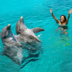 Duiken met dolfijnen op Curaçao: Een onvergetelijk avontuur