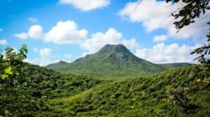 Discover the Wonders of CuraƧao: Your Guide to Exploring the Park & Museum