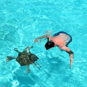 Turtle Outback & Caves Safari: An Unforgettable Adventure in Curacao