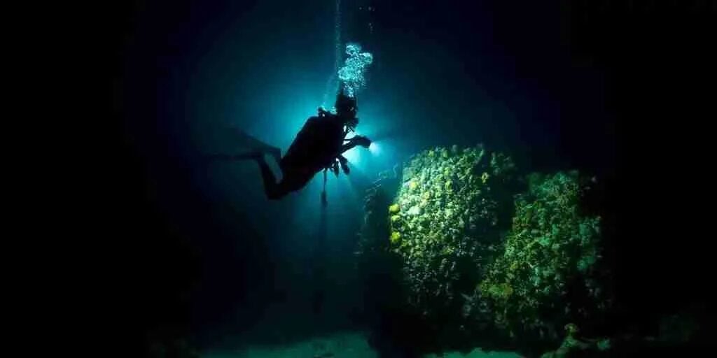 Experience the Thrill of a Night Boat Dive in Curaçao Dive into the enchanting underwater world of Curaçao after sunset with Ocean Encounters' Night Boat Dive. This unique diving experience reveals the mysteries of the ocean under the cover of darkness, offering certified divers an unforgettable adventure. Why Choose a Night Boat Dive? The allure of night diving lies in the transformation of the underwater environment. By night, the coral reefs of Curaçao come alive with creatures that are seldom seen during the day. The vibrant colors and fascinating behaviors of nocturnal marine life provide a completely different perspective on the ocean's beauty. The Night Dive Experience Schedule and Departure Join the night boat dive to the famous Tugboat wreck every Wednesday evening. The boat departs at 6:30 PM from the docks at LionsDive Beach Resort and Sunscape Curacao Resort, returning by 8:30 PM. Ensure you arrive 15 minutes before departure to prepare for your adventure. The experience lasts approximately 2.5 hours, offering ample time to explore and enjoy the nocturnal underwater world. What to Expect Your dive master will begin with a comprehensive briefing on night diving procedures, including special dive signals using your dive light. You'll learn essential skills for navigating in the dark and tips on where to find the most intriguing nocturnal creatures. Requirements: PADI or SSI certification All experience levels welcome, but certification is mandatory Open to certified divers aged 12 and above What's Included Ocean Encounters ensures you have everything needed for a safe and enjoyable dive: Weights and one tank (with both DIN and yoke connections available) Complimentary transit from LionsDive and Sunscape Resorts Optional Add-Ons: Rental Dive Light: $15 Professional Photos or Videos: From $20 (reserve in advance to guarantee availability) Discover the Unique Nightlife of the Reef Night diving in Curaçao offers a glimpse into the ocean's nightlife. As day creatures retreat, nocturnal organisms like octopuses, lobsters, and bioluminescent plankton emerge, creating a magical display. The corals, too, appear different under the glow of your dive light, with many species exhibiting stunning fluorescent colors. Frequently Asked Questions Do I need a night dive certification? While Open Water Divers can participate in night dives, having proper training, such as the PADI Night Diver Specialty course, enhances the experience. This course teaches you how to navigate and find the most fascinating nocturnal creatures, ensuring a safe and enjoyable dive. Is the dive light included? No, the rental dive light is an optional add-on for $15. Book Your Night Boat Dive Ready to explore the underwater world of Curaçao by night? Book your night boat dive with Ocean Encounters today. Visit CuracaoTodo.com for the most comprehensive and up-to-date information on this and other exciting activities in Curaçao. CuracaoTodo is your ultimate guide to the best experiences the island has to offer. Embark on this extraordinary journey and see the coral reefs of Curaçao in a whole new light!