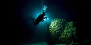 Experience the Thrill of a Night Boat Dive in CuraƧao Dive into the enchanting underwater world of CuraƧao after sunset with Ocean Encounters' Night Boat Dive. This unique diving experience reveals the mysteries of the ocean under the cover of darkness, offering certified divers an unforgettable adventure. Why Choose a Night Boat Dive? The allure of night diving lies in the transformation of the underwater environment. By night, the coral reefs of CuraƧao come alive with creatures that are seldom seen during the day. The vibrant colors and fascinating behaviors of nocturnal marine life provide a completely different perspective on the ocean's beauty. The Night Dive Experience Schedule and Departure Join the night boat dive to the famous Tugboat wreck every Wednesday evening. The boat departs at 6:30 PM from the docks at LionsDive Beach Resort and Sunscape Curacao Resort, returning by 8:30 PM. Ensure you arrive 15 minutes before departure to prepare for your adventure. The experience lasts approximately 2.5 hours, offering ample time to explore and enjoy the nocturnal underwater world. What to Expect Your dive master will begin with a comprehensive briefing on night diving procedures, including special dive signals using your dive light. You'll learn essential skills for navigating in the dark and tips on where to find the most intriguing nocturnal creatures. Requirements: PADI or SSI certification All experience levels welcome, but certification is mandatory Open to certified divers aged 12 and above What's Included Ocean Encounters ensures you have everything needed for a safe and enjoyable dive: Weights and one tank (with both DIN and yoke connections available) Complimentary transit from LionsDive and Sunscape Resorts Optional Add-Ons: Rental Dive Light: $15 Professional Photos or Videos: From $20 (reserve in advance to guarantee availability) Discover the Unique Nightlife of the Reef Night diving in CuraƧao offers a glimpse into the ocean's nightlife. As day creatures retreat, nocturnal organisms like octopuses, lobsters, and bioluminescent plankton emerge, creating a magical display. The corals, too, appear different under the glow of your dive light, with many species exhibiting stunning fluorescent colors. Frequently Asked Questions Do I need a night dive certification? While Open Water Divers can participate in night dives, having proper training, such as the PADI Night Diver Specialty course, enhances the experience. This course teaches you how to navigate and find the most fascinating nocturnal creatures, ensuring a safe and enjoyable dive. Is the dive light included? No, the rental dive light is an optional add-on for $15. Book Your Night Boat Dive Ready to explore the underwater world of CuraƧao by night? Book your night boat dive with Ocean Encounters today. Visit CuracaoTodo.com for the most comprehensive and up-to-date information on this and other exciting activities in CuraƧao. CuracaoTodo is your ultimate guide to the best experiences the island has to offer. Embark on this extraordinary journey and see the coral reefs of CuraƧao in a whole new light!