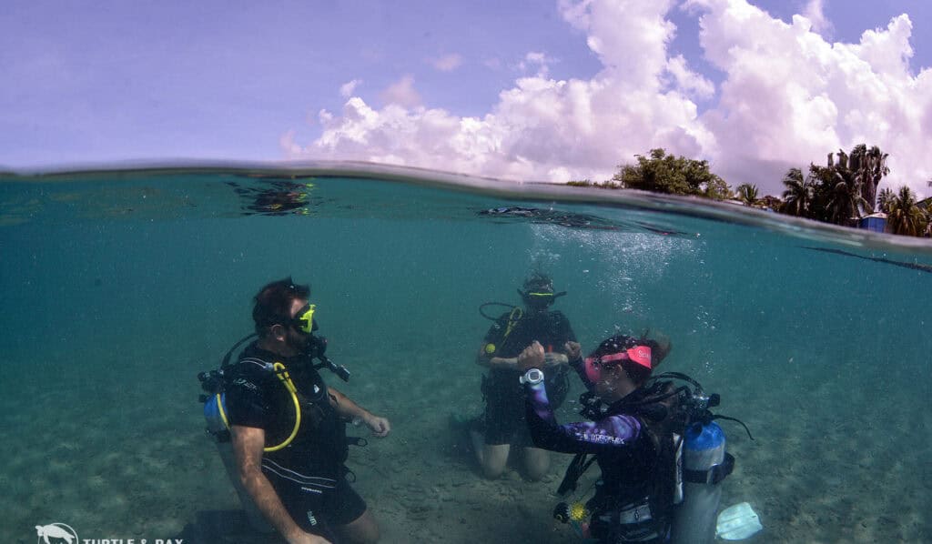 Introduction Dive in Curaçao: Your First Step into the Underwater World