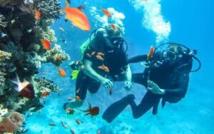 Dive into Adventure: Guided Diving Experiences in CuraƧao