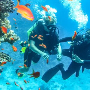 Duik in avontuur: Begeleide duikervaringen op Curaçao