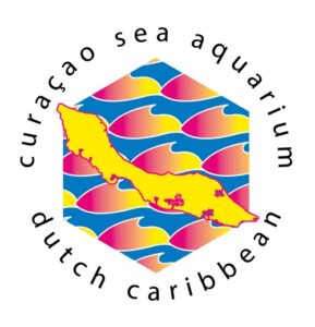 Discover Curaçao's Most Exciting Snorkeling Adventure