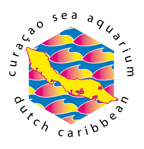 Discover Curaçao's Most Exciting Snorkeling Adventure