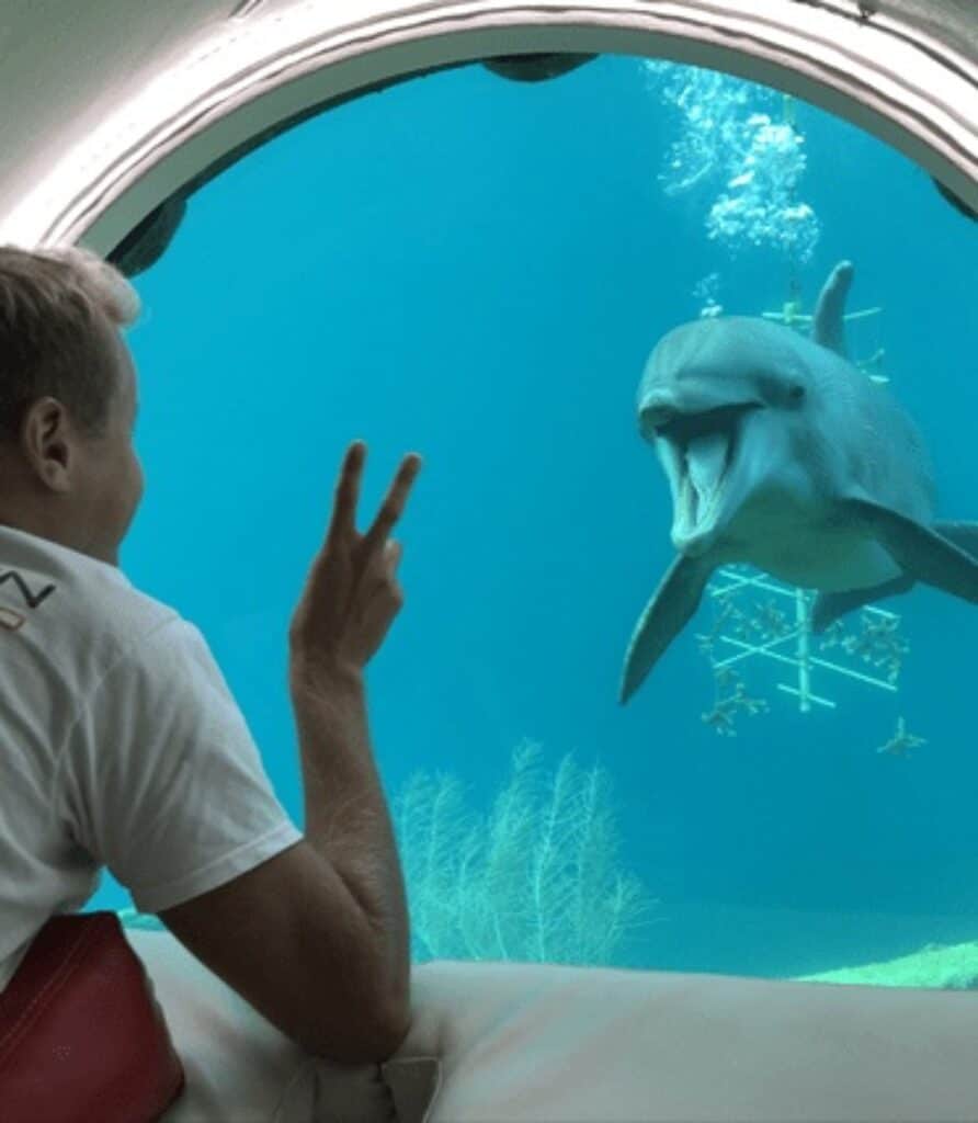 Discover the Wonders of Curaçao Sea Aquarium