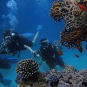 Cas Abao Beach: A Caribbean Paradise in Curacao