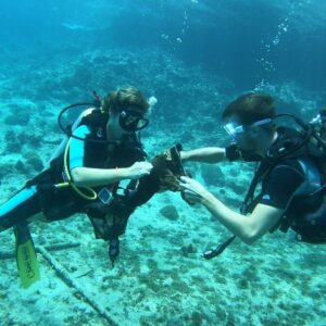 Ervaar Peak Performance Buoyancy bij Bahia Dive Resort