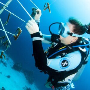 Duiken voor een doel: Koraalherstel Specialty Cursus op Curaçao