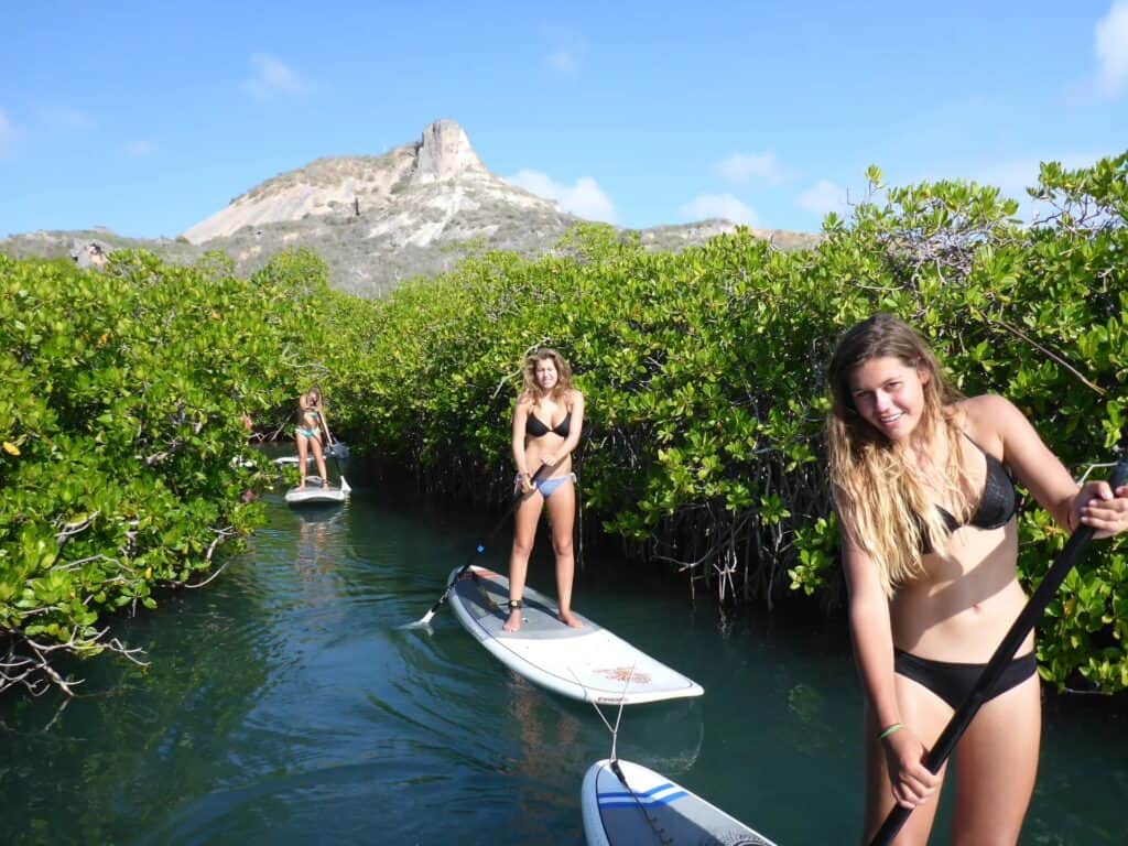 Ontdek de magie van Curaçao met een Spaans Water Mangrove SUP Tour
