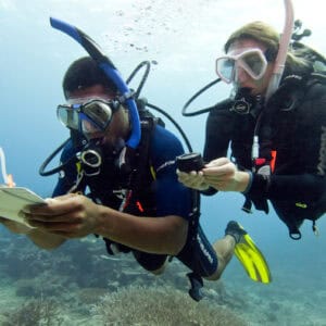 Master the Seas: Specialty Cursus Onderwaternavigator op Curaçao