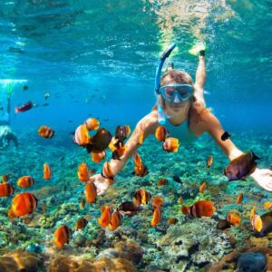 Ontdek de onderwaterwonderen van Curaçao met een onvergetelijk snorkelavontuur
