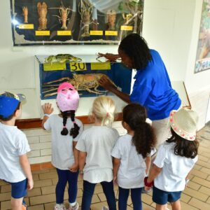 Ontdek mariene educatie in het Curaçao Sea Aquarium