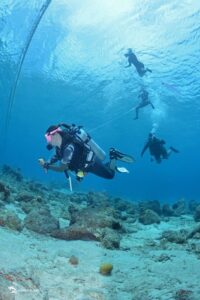 Discover the Thrill of Scuba Diving with the PADI Scuba Diver Course in Curaçao