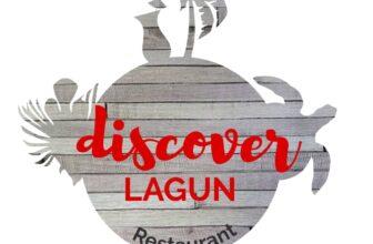 Discover Lagun Logo