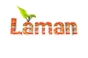 Laman