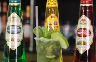 The World Best Mojito