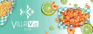 Villa Vis