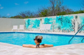 Dream of the Green Flamingo