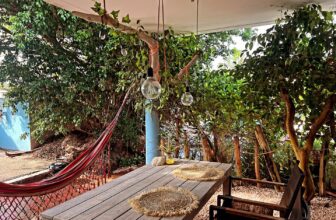 Tropical Breeze Apartments