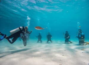 Unique Diving