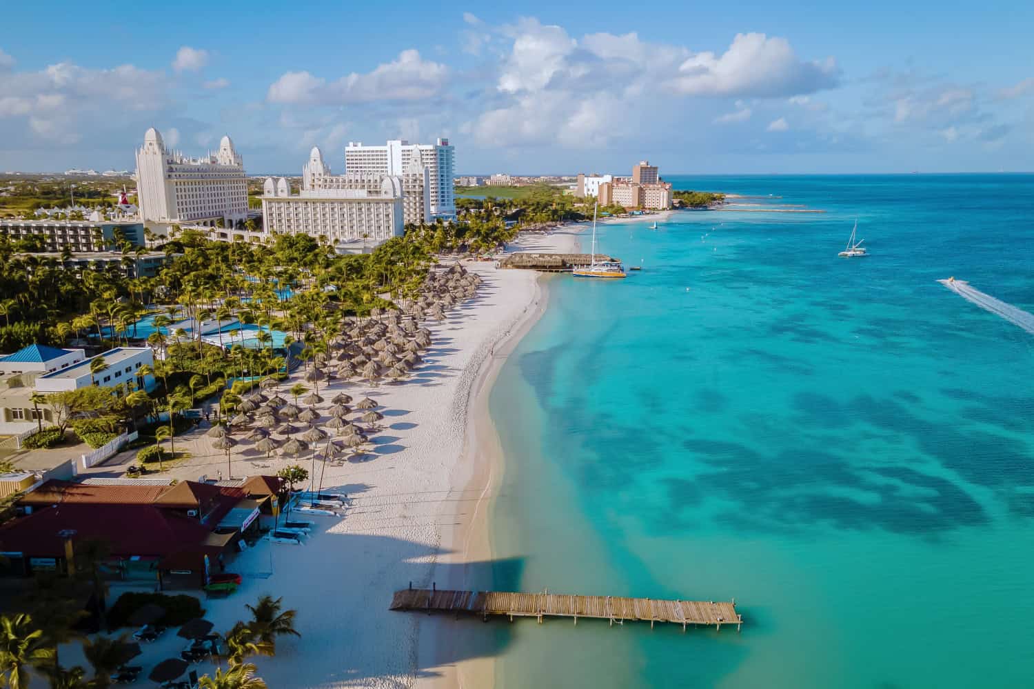 Palm beach Aruba Caribbean, white long sandy beach with palm trees at Aruba drone view