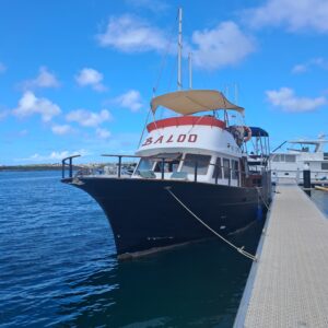 Baloo at the Dock of Barbara Beach