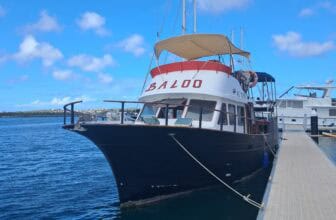 Baloo at the Dock of Barbara Beach
