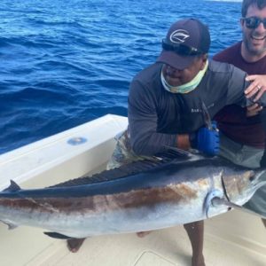 Fishing Trips – Viking Sportsfisher 42ft