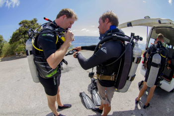 Discover the Magic of a 1 Tank Guided Shore Dive with Jan Thiel Diving