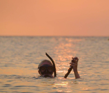 Ervaar de magie van een 1 Tank begeleide nachtduik op Curacao