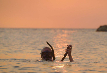 Ontdek de magie van nachtduiken op Curaçao