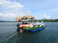 Tiki Boat Rentals