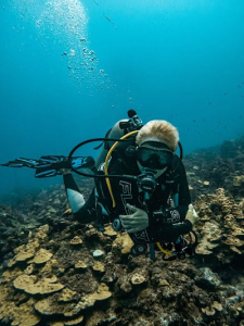 Professional Dive Courses Curaçao