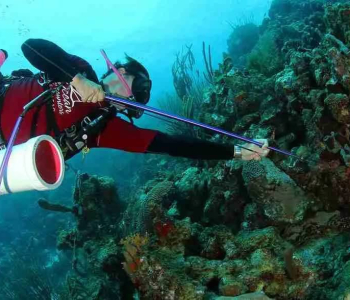 Duikervaring met Lionfish op Curaçao