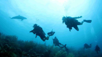 Voltooi je Open Water Diver-brevet in het paradijs: De verwijzingscursus op Curaçao